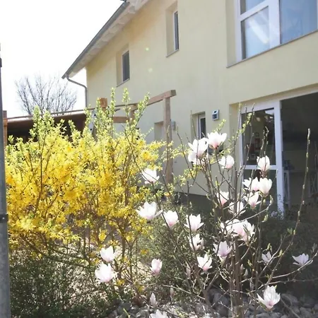 In Mit Terrasse, Grill Und Garten Apartment